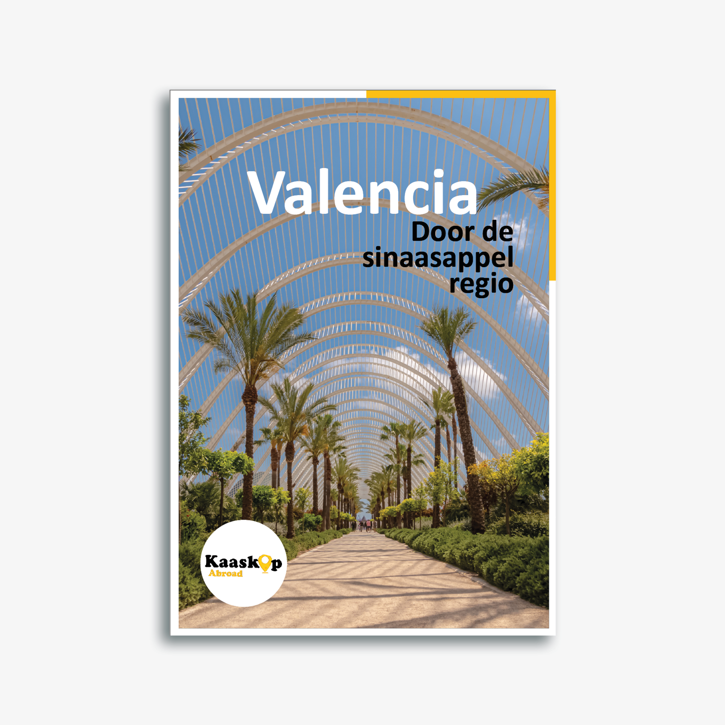 Reisgids Valencia (Spanje)